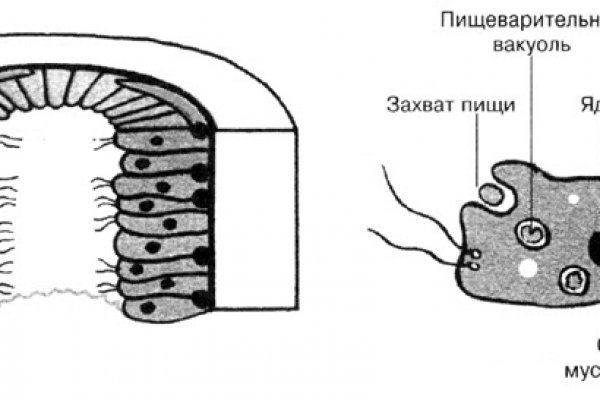 Кракен тор ссылка магазин