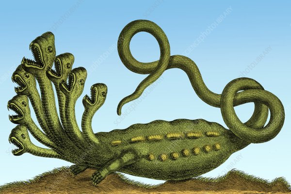 Kraken 18