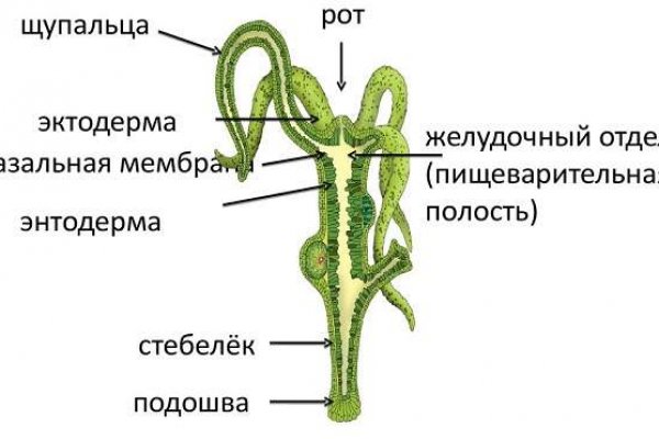 Кракен ссылка рп